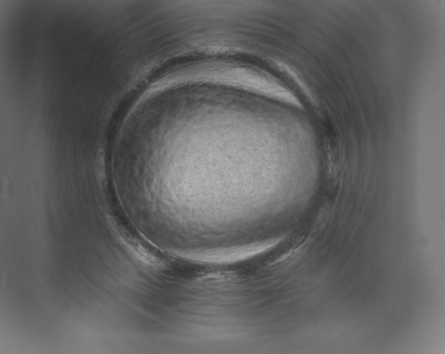 X0000074000447200609061028