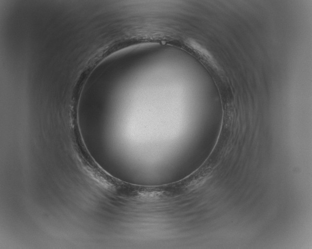 X0000074000450200609061028