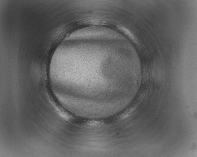 X0000074000453200609061028