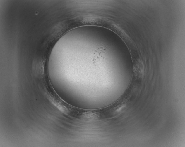 X0000074000454200609061028