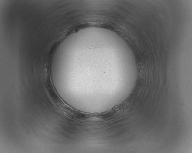 X0000074000456200609061028