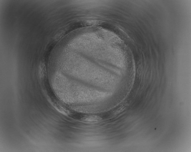 X0000074000459200609061028