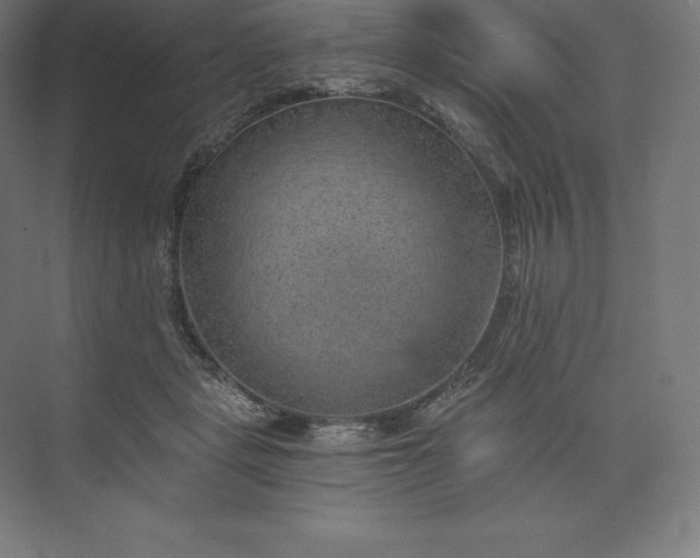 X0000074000461200609061028