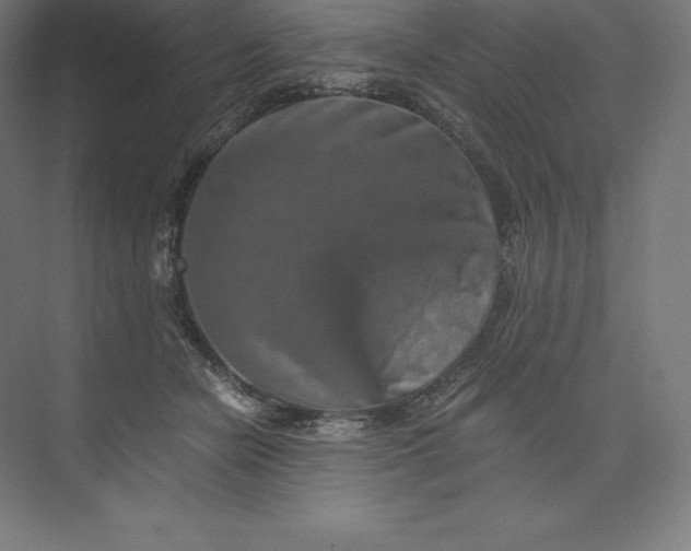 X0000074000462200609061028