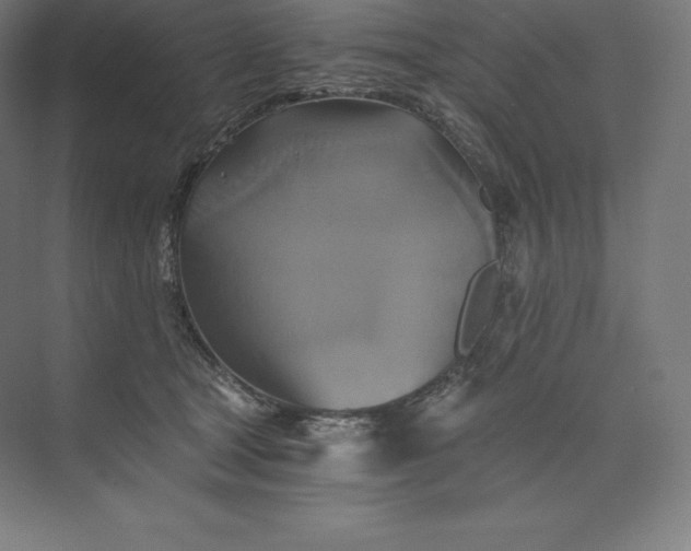 X0000074000465200609061028