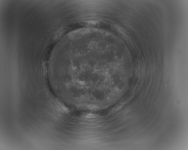 X0000074000467200609061028