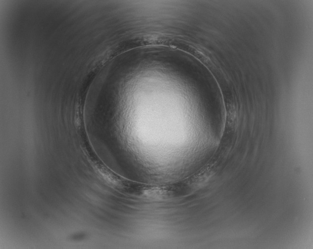 X0000074000470200609061028