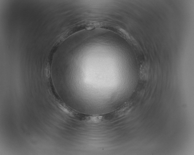 X0000074000474200609061028