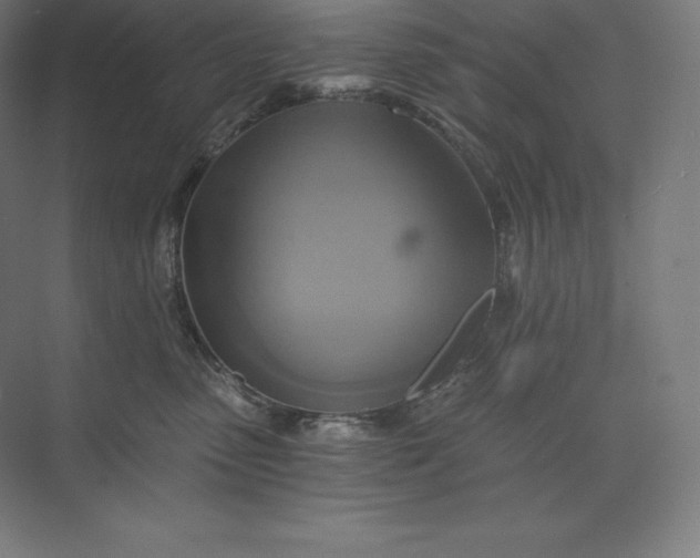 X0000074000475200609061028