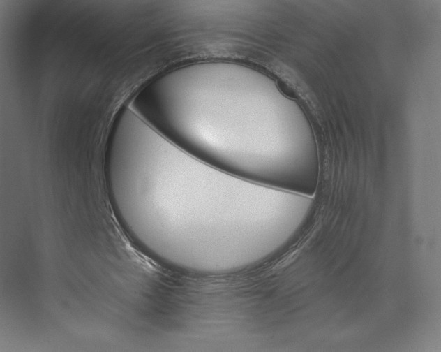 X0000074000481200609061027