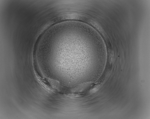 X0000074000482200609061027