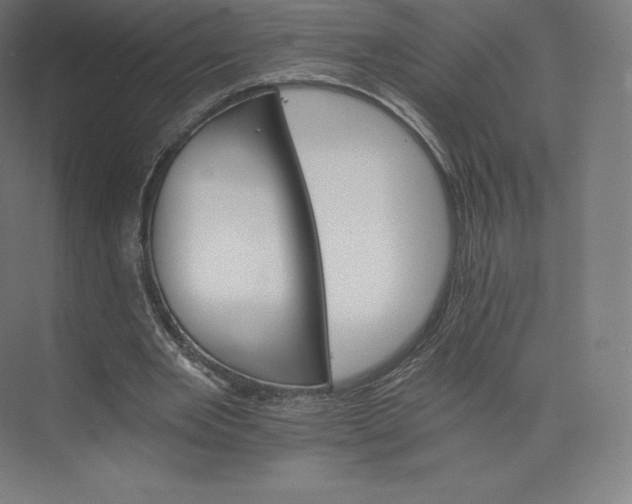 X0000074000485200609061027