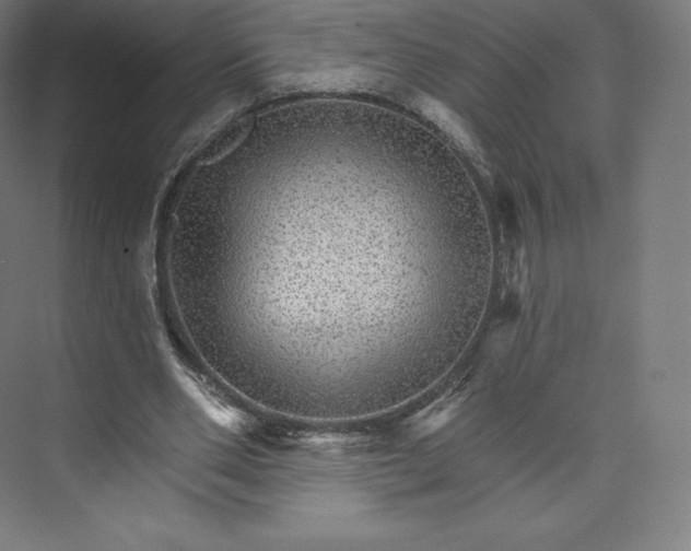 X0000074000486200609061027