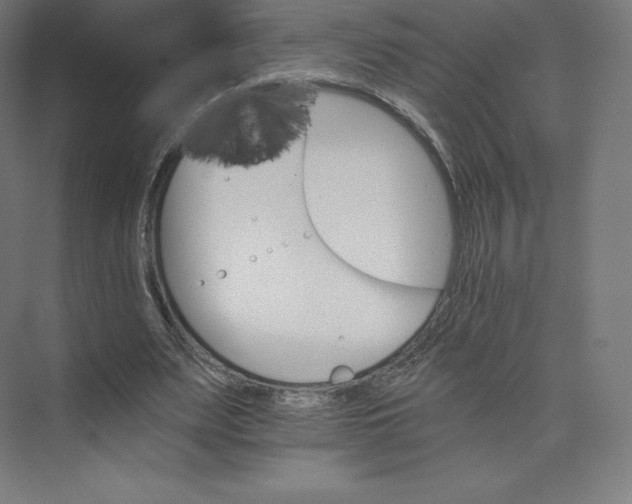 X0000074000487200609061027