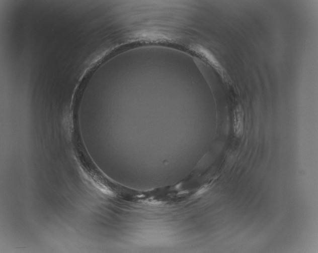 X0000074000488200609061027