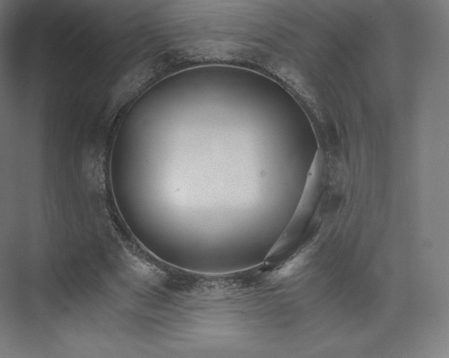 X0000074000489200609061027