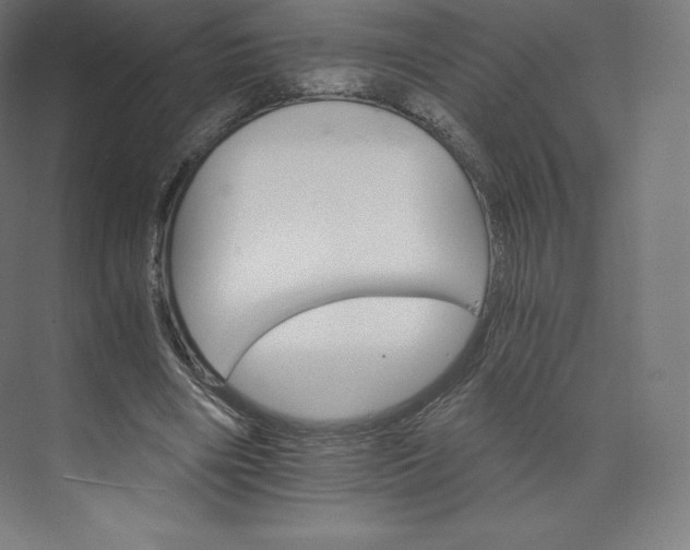 X0000074000490200609061027