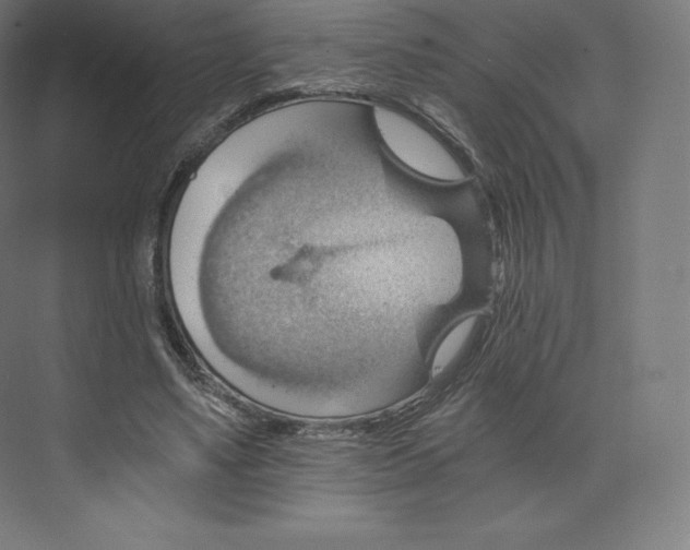 X0000074000491200609061027