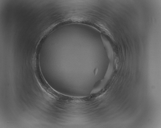 X0000074000492200609061027