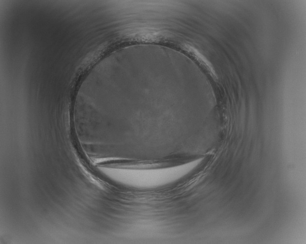 X0000074000493200609061027