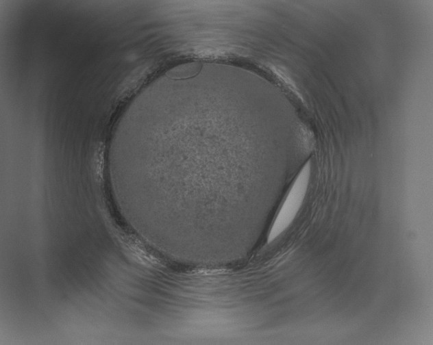 X0000074000495200609061027