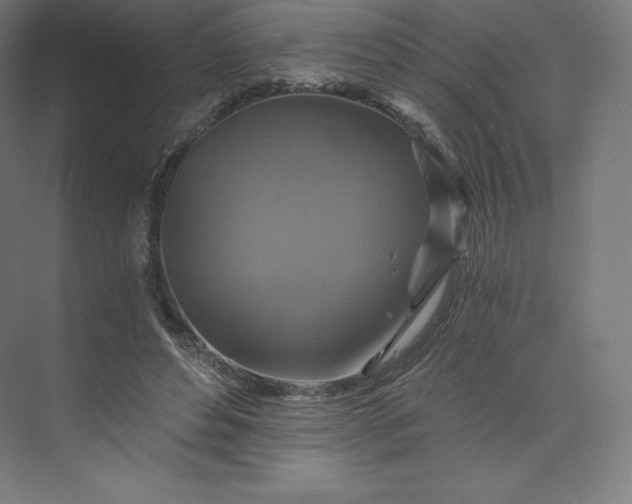 X0000074000496200609061027