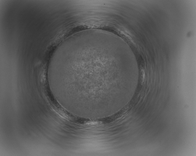 X0000074000499200609061027