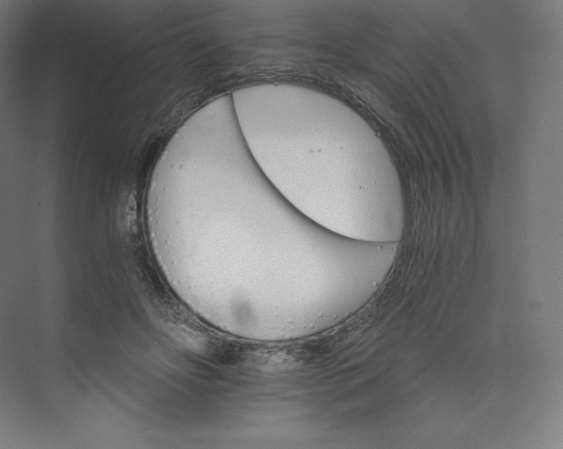 X0000074000502200609061027