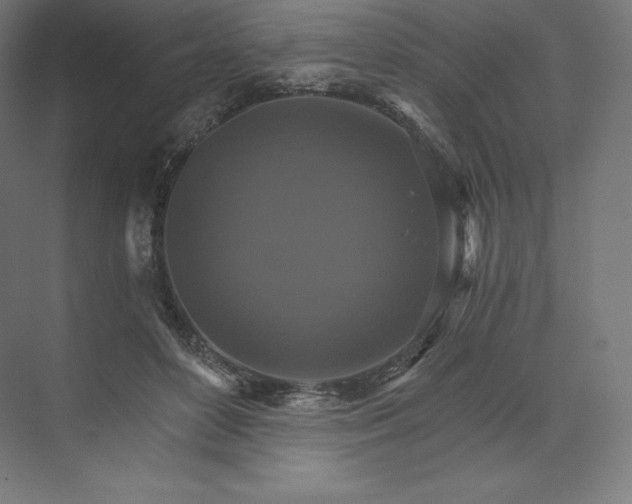 X0000074000504200609061027