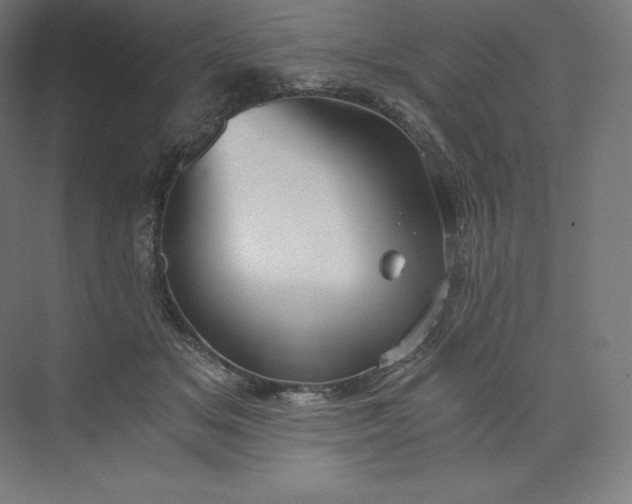 X0000074000509200609061027