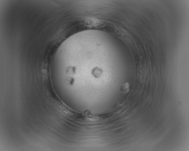 X0000074000510200609061027