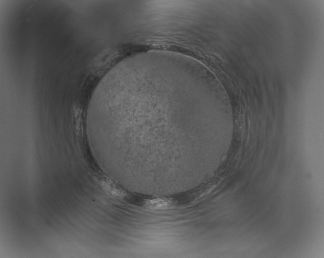 X0000074000511200609061027