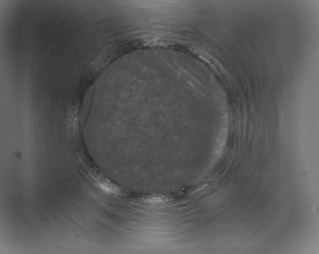 X0000074000513200609061027