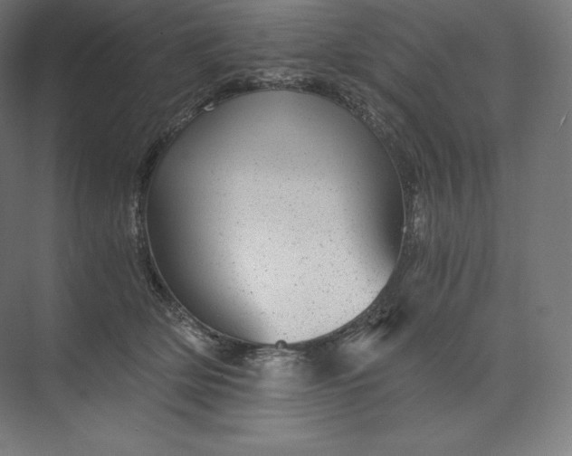 X0000074000514200609061027