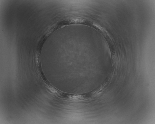 X0000074000517200609061027