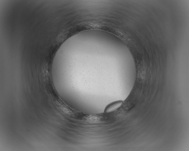 X0000074000518200609061027