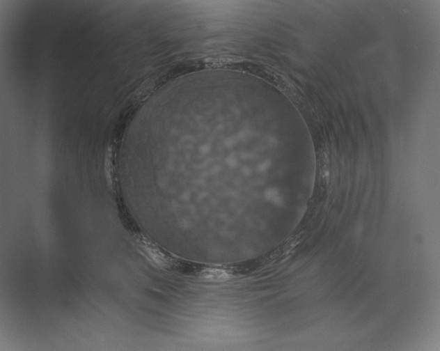 X0000074000519200609061027