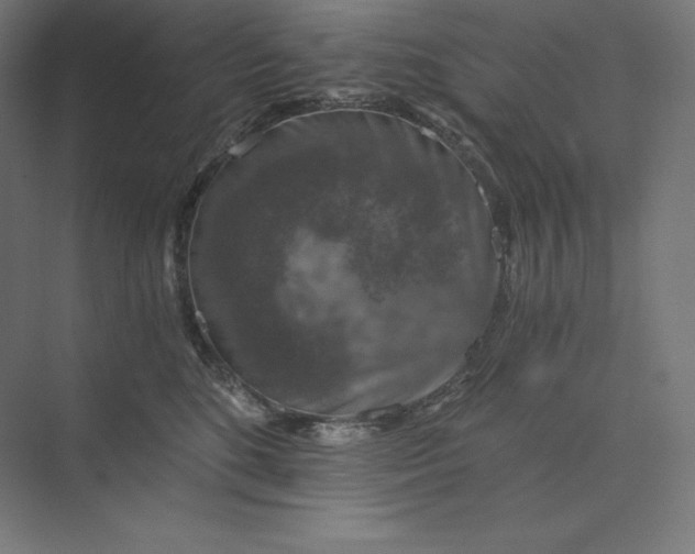 X0000074000520200609061027