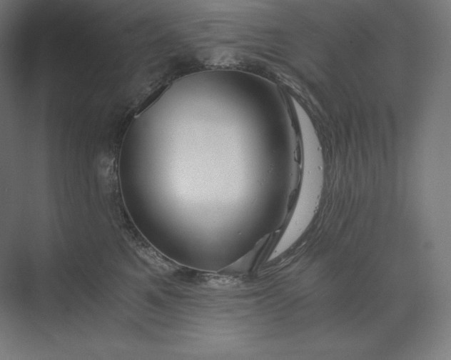 X0000074000521200609061027