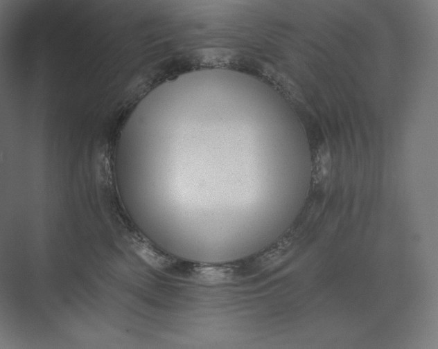 X0000074000522200609061027