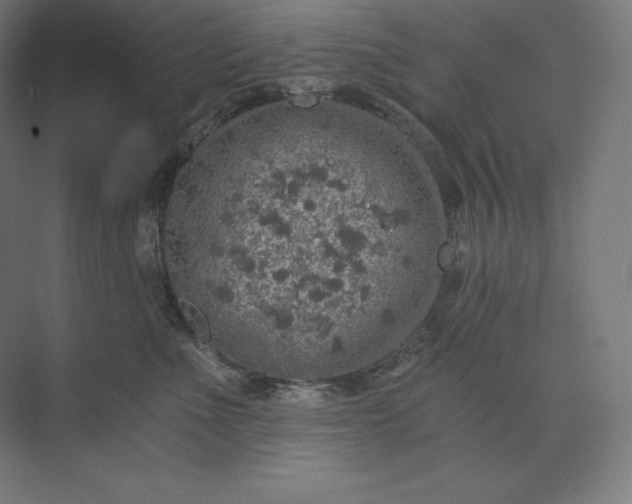 X0000074000523200609061027