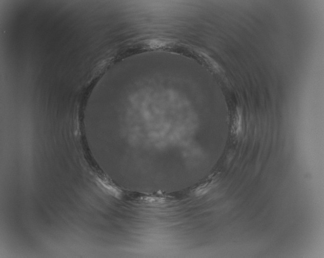 X0000074000524200609061027