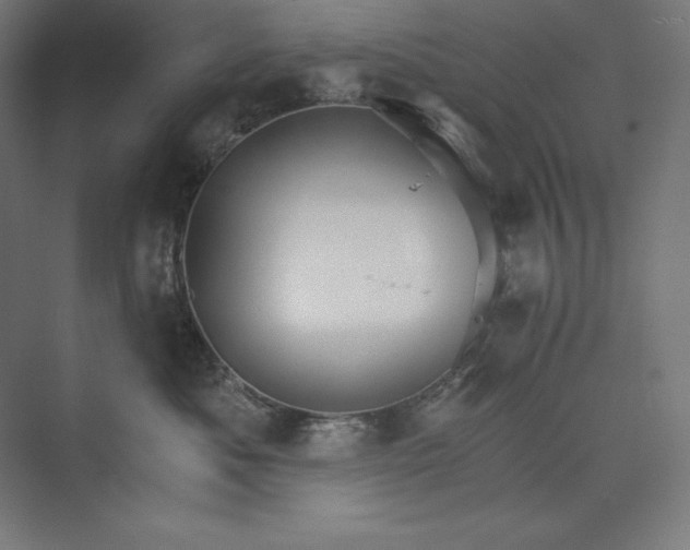 X0000074000525200609061027