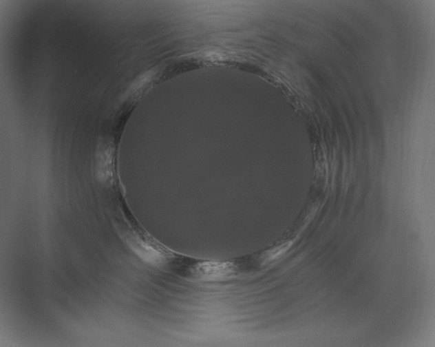 X0000074000526200609061027