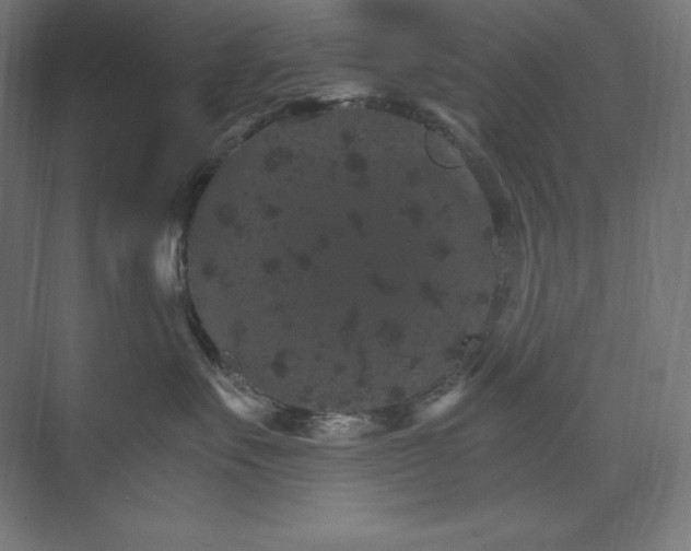 X0000074000527200609061027