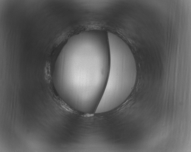 X0000074000528200609061027