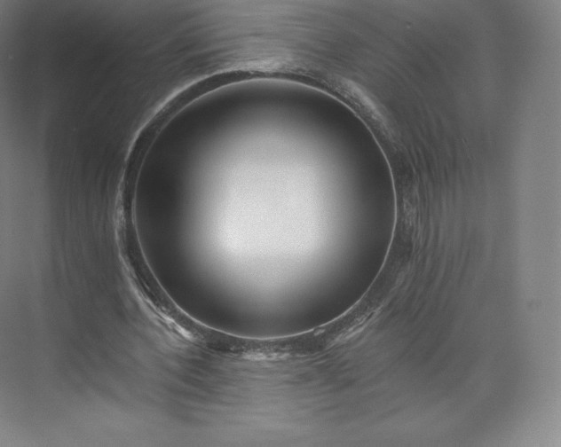 X0000074000532200609061026