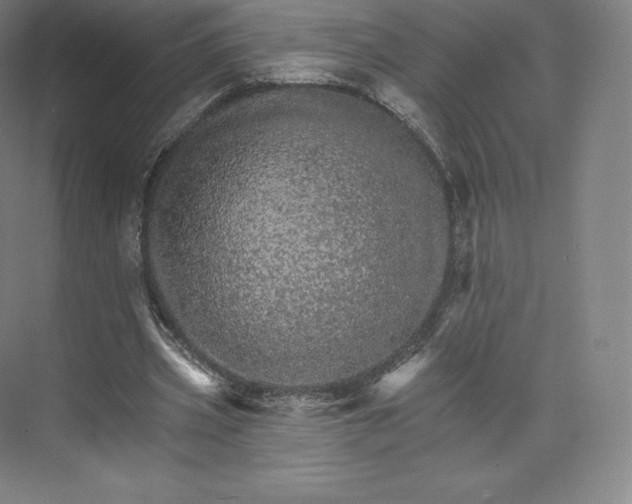 X0000074000533200609061026