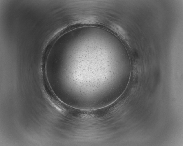 X0000074000535200609061026