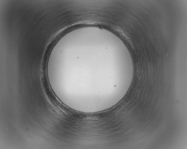 X0000074000536200609061026